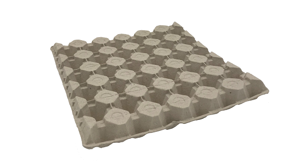 moulded fibre